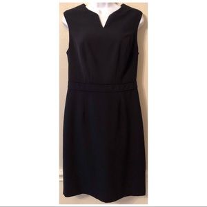 The Limited Collection Navy Sheath Dress.